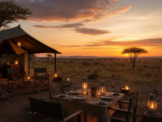 Safari-Camp im Abendlicht