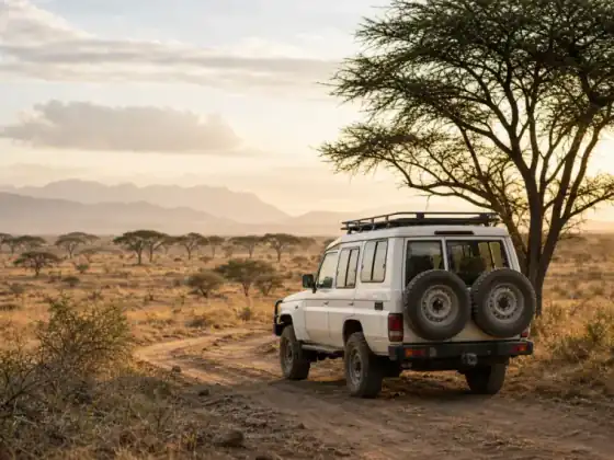 Selbstfahrer-Safari