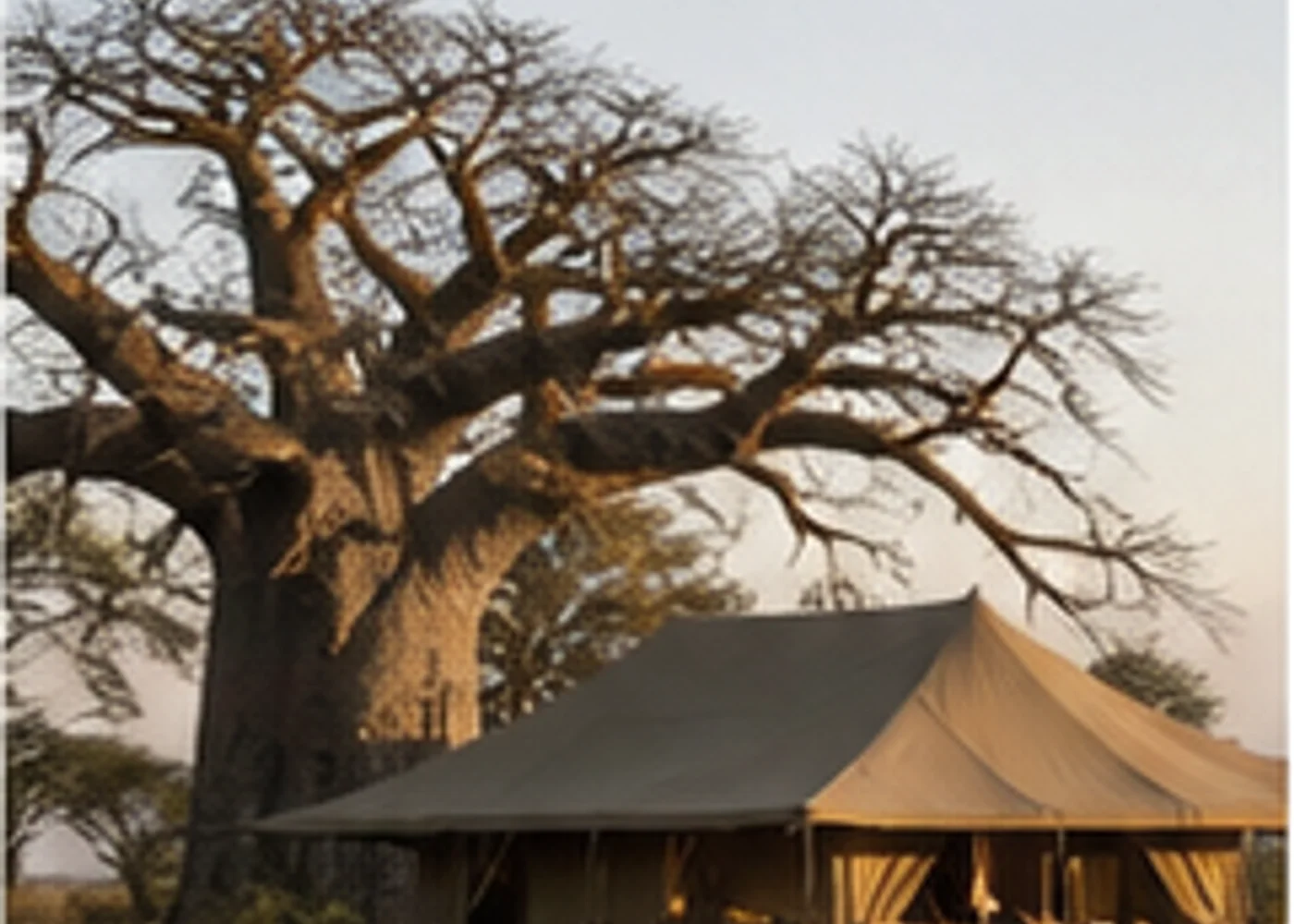 Private Safari in Tansania in Tansania